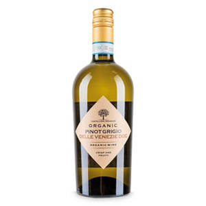 Ingeno Organic Pinot Grigio