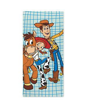 Beach Towel/Poncho