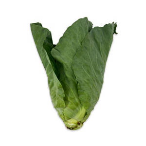 Sweetheart Cabbage