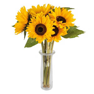 Simply Sunflowers