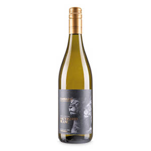South African Sauvignon Blanc