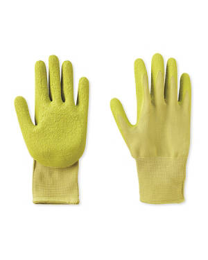 Latex Gloves