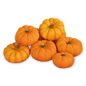 Halloween Aaahmazing Munchkin Pumpkin (1)