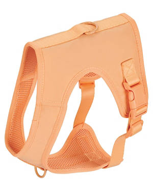Colour Change Cooling Harness