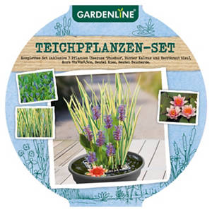 Mini-Teich, rosa