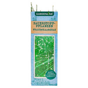 Sauerstoffpflanzen, Frauenhaargras