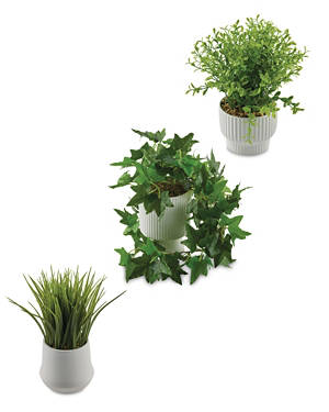 LED Plant