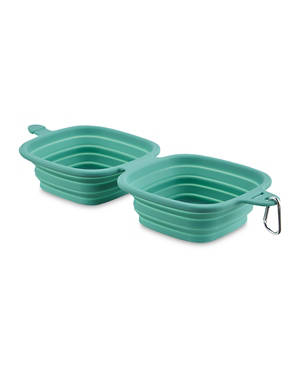 Pet Travel Accessories