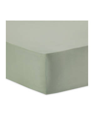Double Fitted/Flat Sheet