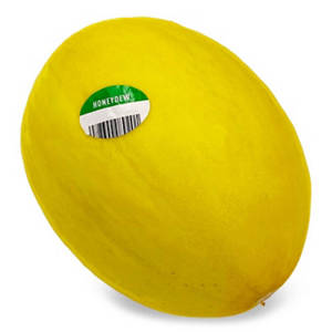 Honeydew Melon