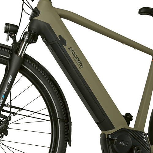 Details 1, E-Bike ENTDECKER 4.0