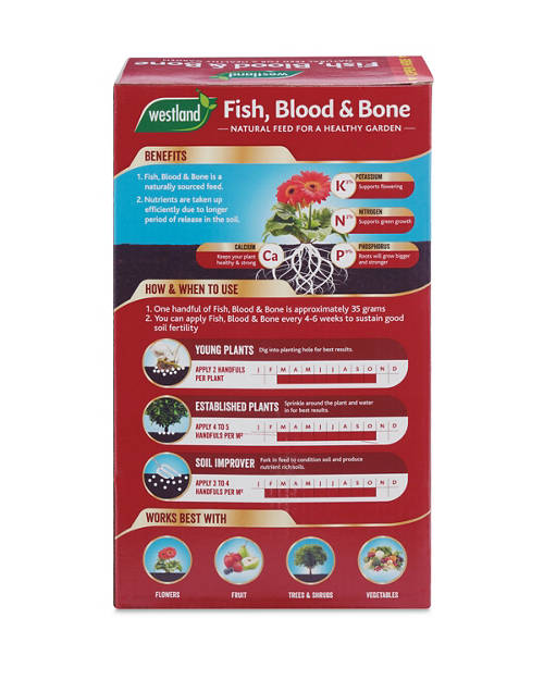 Back shot 1, Fish, Blood & Bone