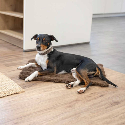 Front shot 2, Comfy Pet Crate Mat