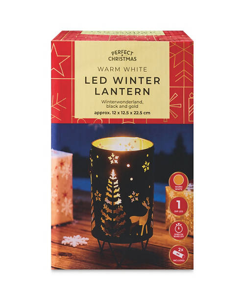 Details 1, Winter Lantern