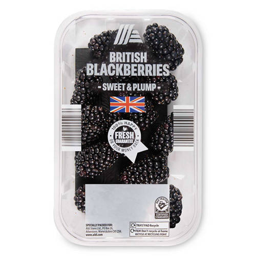 Front shot 2, British Blackberries