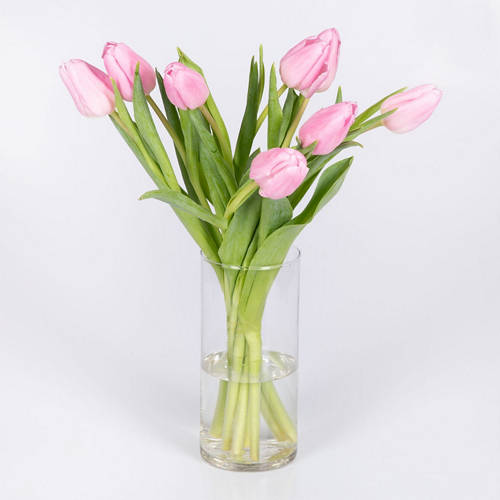  Product Image Front shot 03
