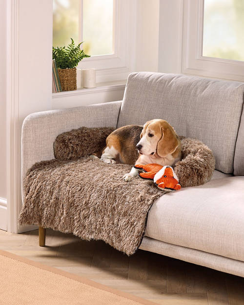 Lifestyle 1, Pet Sofa Overlay