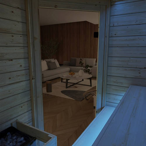 Details 3, Sauna mit Eckeinstieg