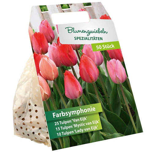 Details 1, Blumenzwiebel-Spezialitäten "Farbsymphonie"