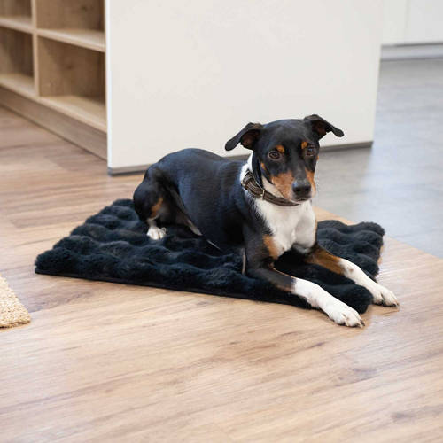 Front shot 2, Comfy Pet Crate Mat