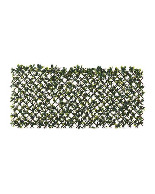Details 1, Expanding Faux Leaf Trellis
