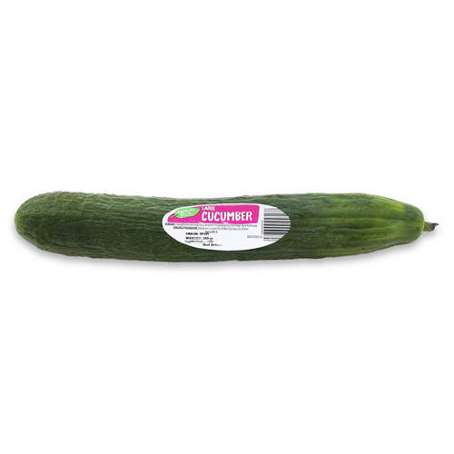 Large Cucumber