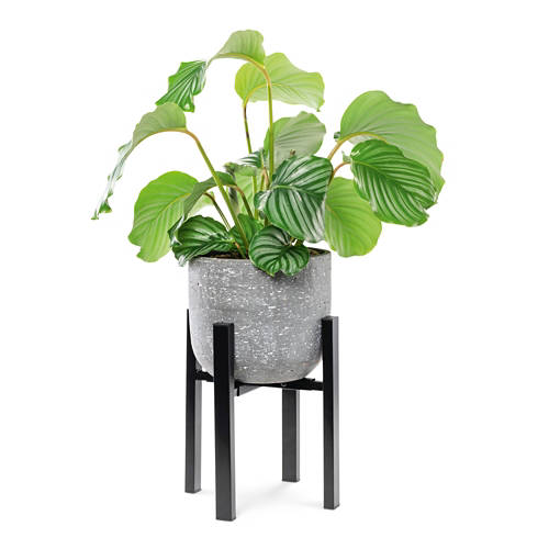Détails 1, Support à plantes en métal, noir