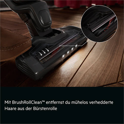 Details 3, Akkustaubsauger CX7-3-45EB