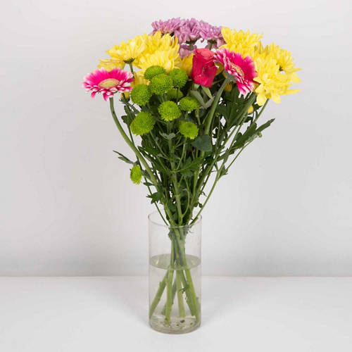  Product Image Front shot 03