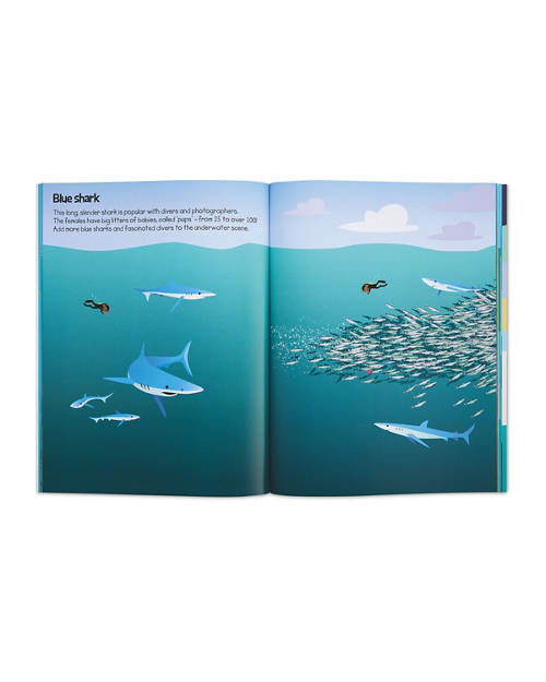 Details 1, Sticker Book
