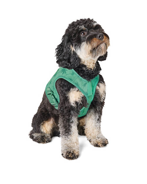 Lifestyle 1, Colour Change Cooling Harness