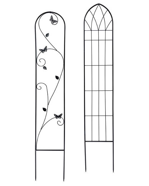Group 1, Plant Trellis