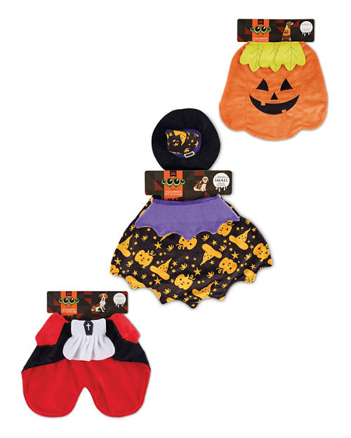 Group 1, Halloween Pet Costume