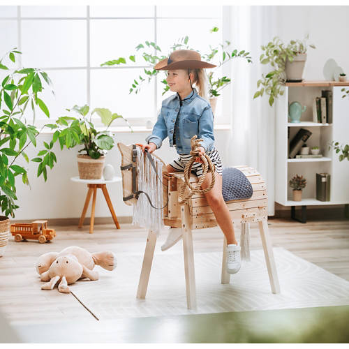 Življenjski slog 1, Leseni konj