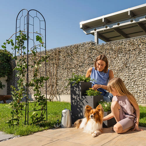 Življenjski slog 1, Opora za vzpenjalke