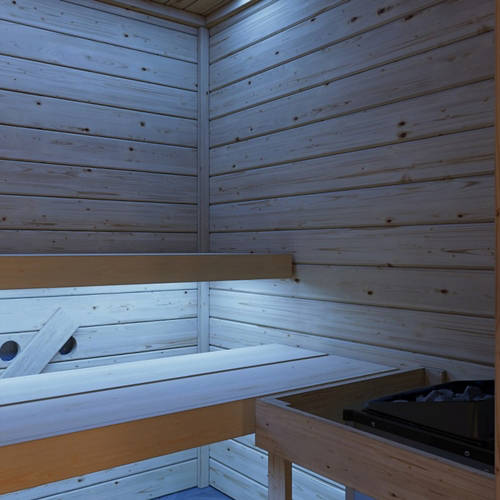 Details 3, Sauna mit Fronteinstieg