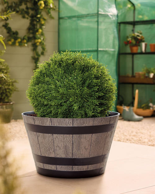 Lifestyle 1, Whiskey Barrel Planter