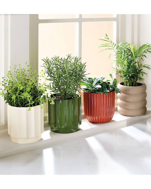 Lifestyle 1, Ripple Planter