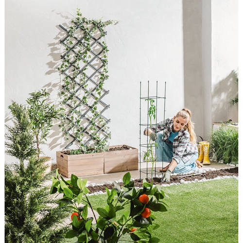 Življenjski slog 1, Opora za rastline