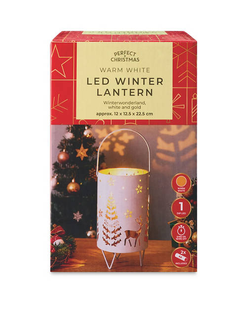 Details 1, Winter Lantern