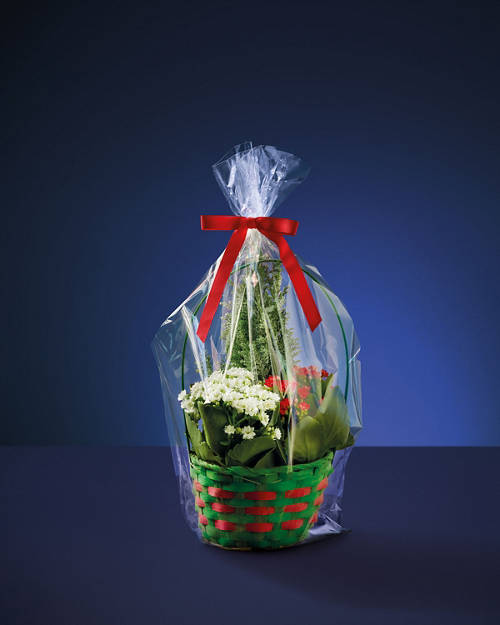 Front shot 1, Christmas Plant Basket