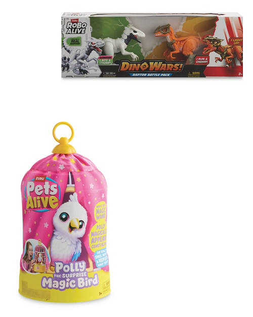 Group 1, Dino Wars/Magic Bird