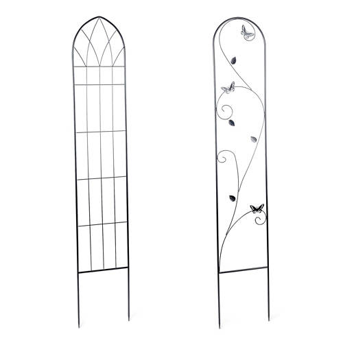 Skupina 1, Opora za vzpenjalke