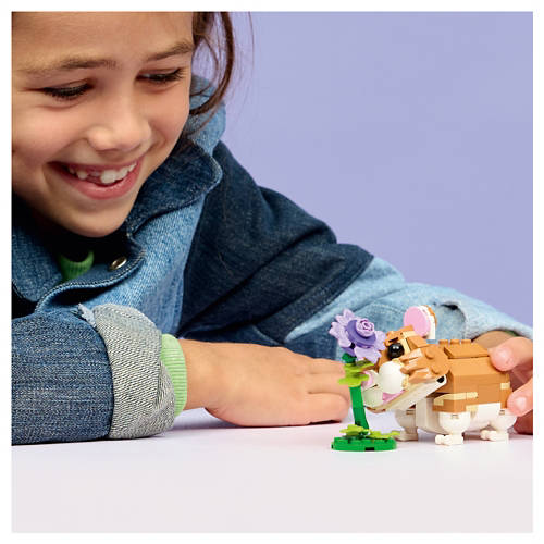 Details 1, Lego Mix Sortiment, Hamster