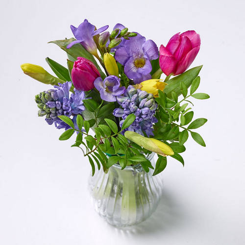  Product Image Front shot 02