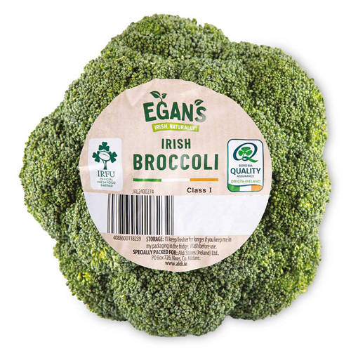 Front shot 2, Broccoli Crown