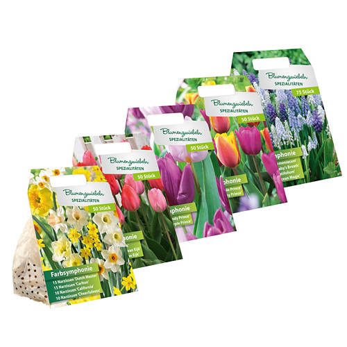Groupe 1, Bulbes de fleurs «Symphonie de couleurs»