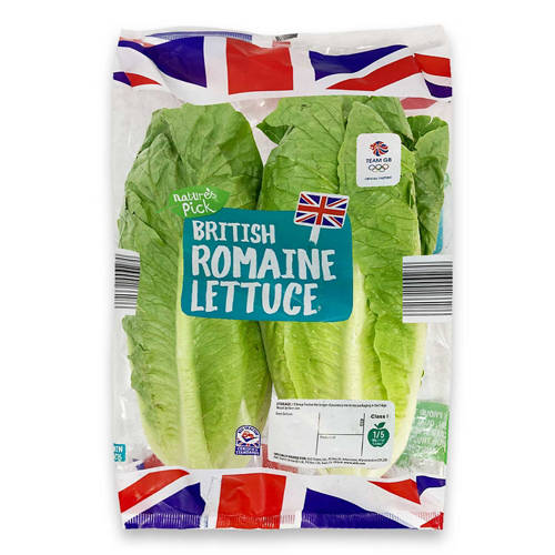 British Romaine Lettuce