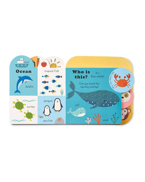 Details 1, Touchy Feelies Book