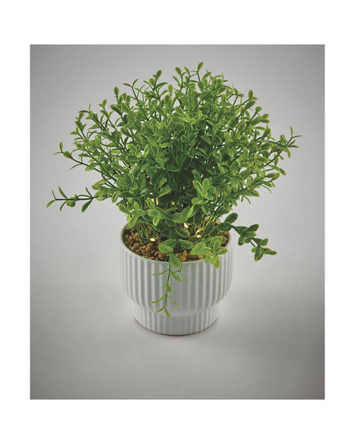 Details 1, LED Plant